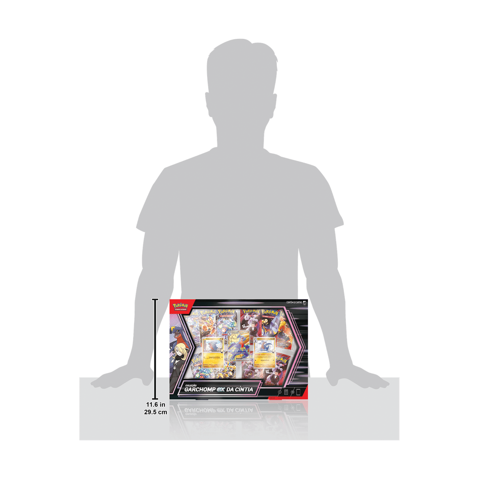 (PT-BR) Pokémon - Box Coleção - Garchomp ex da Cíntia - Imagem 3